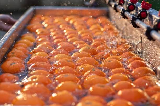 ویژگی های بازرگانی سورتینگ و بسته‌بندی و صادرات مرکبات اسماعیلی در ساری