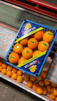 تخصص و تجربه