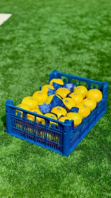 قیمت مناسب و رقابتی